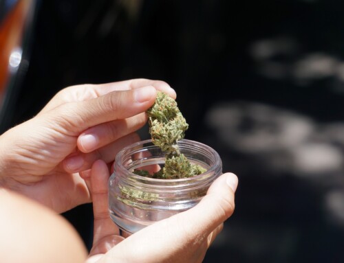 Top 20 Indica Cannabis Strains